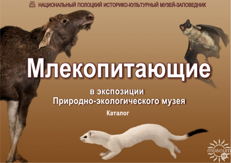 Млекопитающие в экспозиции Природно-экологического музея: каталог